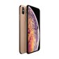 iPhone XS Max 256GB Gold (atnaujintas, būklė A) kaina ir informacija | Mobilieji telefonai | pigu.lt