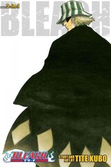 Bleach (3-in-1 Edition), Vol. 2: Includes vols. 4, 5 & 6, Vols. 4, 5 & 6, 3-in-1 Edition цена и информация | Фантастика, фэнтези | pigu.lt