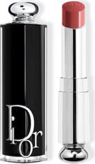 Lūpų dažai Dior Addict Lipstick Barra De Labios 558 цена и информация | Помады, бальзамы, блеск для губ | pigu.lt