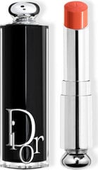 Lūpų dažai Dior Addict Lipstick Barra De Labios 659 цена и информация | Помады, бальзамы, блеск для губ | pigu.lt