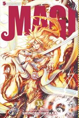 Magi, Vol. 33: The Labyrinth of Magic цена и информация | Fantastinės, mistinės knygos | pigu.lt