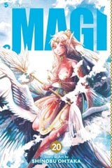 Magi, Vol. 20: The Labyrinth of Magic, Volume 20 цена и информация | Фантастика, фэнтези | pigu.lt