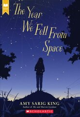 Year We Fell from Space цена и информация | Книги для подростков и молодежи | pigu.lt