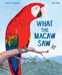 What the Macaw Saw цена и информация | Книги для малышей | pigu.lt