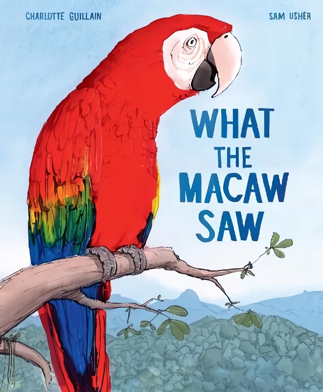 What the Macaw Saw цена и информация | Knygos mažiesiems | pigu.lt