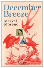 December Breeze: A masterful novel on womanhood in Colombia цена и информация | Фантастика, фэнтези | pigu.lt