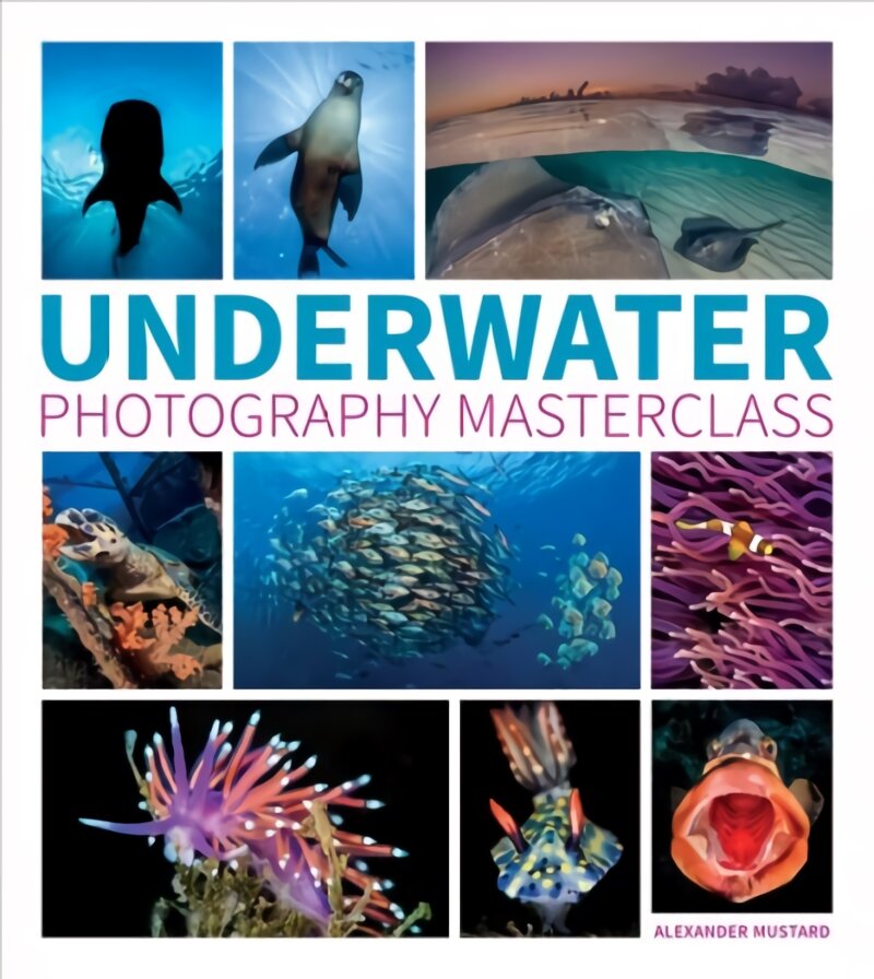 Underwater Photography Masterclass kaina ir informacija | Fotografijos knygos | pigu.lt