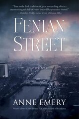 Fenian Street: A Mystery цена и информация | Fantastinės, mistinės knygos | pigu.lt