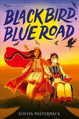 Black Bird, Blue Road kaina ir informacija | Knygos paaugliams ir jaunimui | pigu.lt