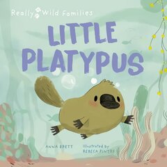 Little Platypus: A Day in the Life of a Platypus Puggle цена и информация | Книги для малышей | pigu.lt