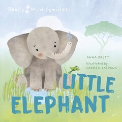 Little Elephant: A Day in the Life of a Elephant Calf цена и информация | Книги для малышей | pigu.lt