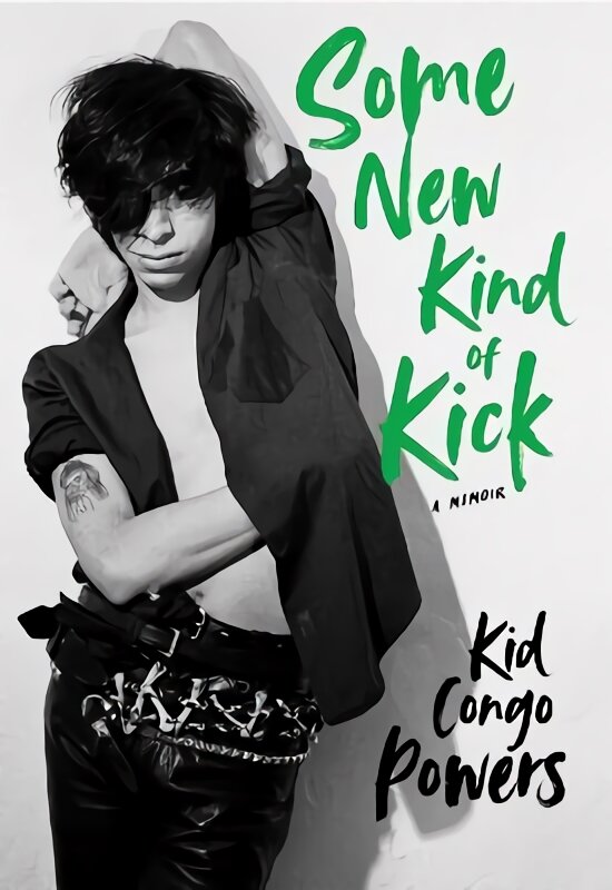Some New Kind of Kick: A Memoir цена и информация | Biografijos, autobiografijos, memuarai | pigu.lt
