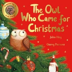 Owl Who Came for Christmas kaina ir informacija | Knygos mažiesiems | pigu.lt