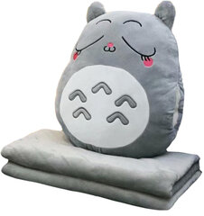 Мягкая игрушка 3in1 Totoro XL цена и информация | Мягкие игрушки | pigu.lt
