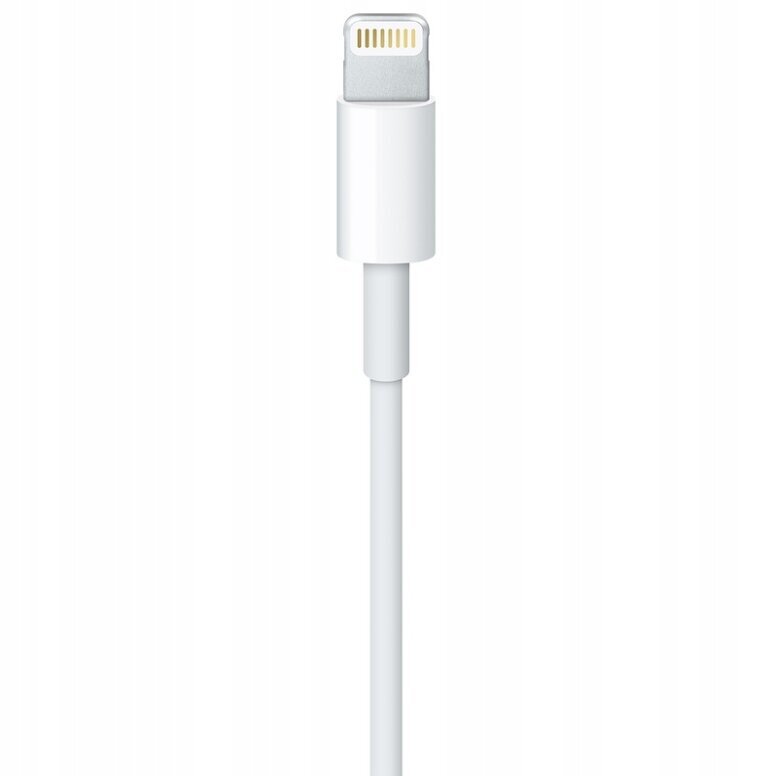 Lightning USB-C, 1m kaina ir informacija | Laidai telefonams | pigu.lt