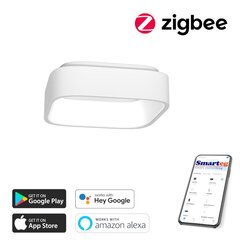 Умный потолочный светильник 60 см, 47 Вт, белый (Zigbee) цена и информация | Потолочные светильники | pigu.lt