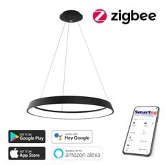 Умный потолочный светильник 80 см, 48 Вт, черный (Zigbee) цена и информация | Потолочные светильники | pigu.lt