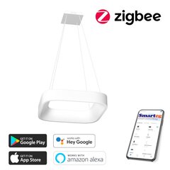Умный потолочный светильник 60 см, 47 Вт, белый (Zigbee) цена и информация | Потолочные светильники | pigu.lt