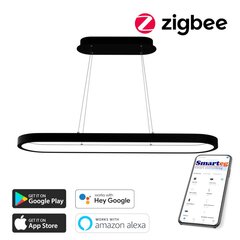 Умный потолочный светильник 120х30 см, 66 Вт, черный (Zigbee) цена и информация | Потолочные светильники | pigu.lt