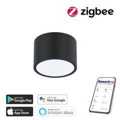 Умный потолочный светильник 15х15 см, 12 Вт, черный (Zigbee) цена и информация | Потолочные светильники | pigu.lt