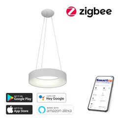 Умный потолочный светильник 60 см, 39 Вт, белый (Zigbee) цена и информация | Потолочные светильники | pigu.lt
