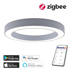 Умный потолочный светильник 95 см, 66 Вт, белый (Zigbee) цена и информация | Потолочные светильники | pigu.lt