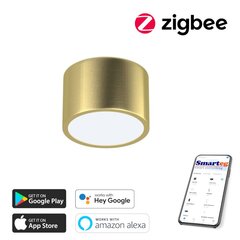Išmanusis lubinis šviestuvas ZigBee kaina ir informacija | Lubiniai šviestuvai | pigu.lt