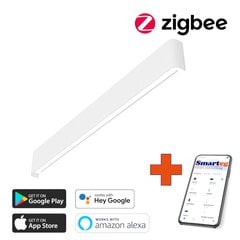 Умная лампочка 40 Вт, белый (Zigbee) цена и информация | Настенные светильники | pigu.lt