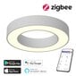 Išmanusis lubinis šviestuvas ZigBee цена и информация | Lubiniai šviestuvai | pigu.lt
