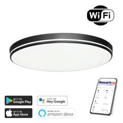 Умная лампа 51 см, 48 Вт, черная (Wi-Fi) цена и информация | Потолочные светильники | pigu.lt