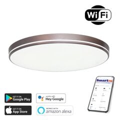 Умная лампа 51 см, 48 Вт, кофе (Wi-Fi) цена и информация | Потолочные светильники | pigu.lt