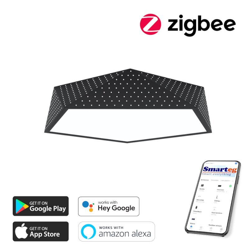 Lubinis LED šviestuvas Zigbee kaina ir informacija | Lubiniai šviestuvai | pigu.lt