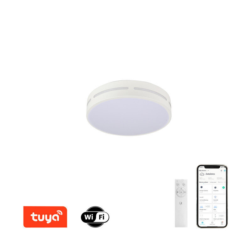 Lubinis LED šviestuvas Zigbee kaina ir informacija | Lubiniai šviestuvai | pigu.lt