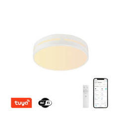 Умная лампа 51 см, 48 Вт, черная (Wi-Fi) цена и информация | Потолочные светильники | pigu.lt