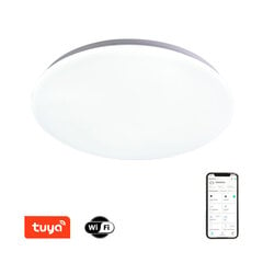 Светодиодная лампа 45 см, 36 Вт цена и информация | Потолочные светильники | pigu.lt