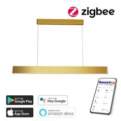 Светодиодная лампа 80 см, 60 Вт (Zigbee) цена и информация | Потолочные светильники | pigu.lt