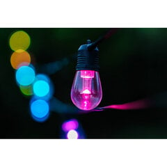 Умная садовая лампа (Wi-Fi) цена и информация | Уличные светильники | pigu.lt