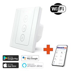 Smart Wall Light Switch RF Wi-Fi цена и информация | Выключатели, розетки | pigu.lt