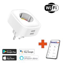 Умная розетка 2xUSB Wi-Fi цена и информация | Выключатели, розетки | pigu.lt