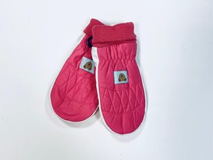 Детские варежки цена и информация | Зимняя одежда для детей | pigu.lt