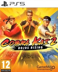 Видеоигры PlayStation 5 Just For Games Cobra Kai 2: Dojos Rising цена и информация | Компьютерные игры | pigu.lt