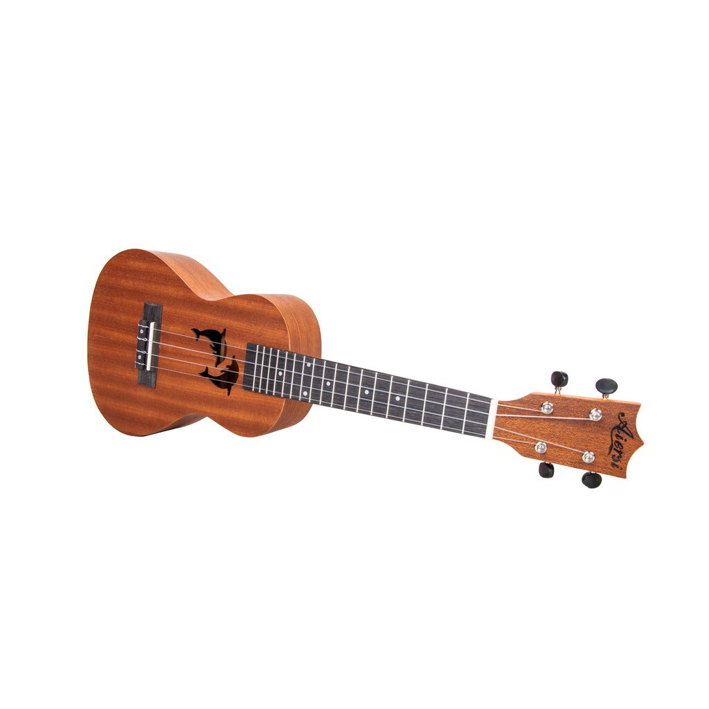 Ukulėlė Aiersi SU-024D kaina ir informacija | Gitaros | pigu.lt