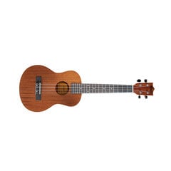 Ukulėlė Aiersi SU-026B kaina ir informacija | Gitaros | pigu.lt