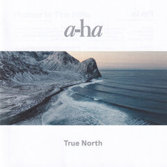 CD A-HA "True North" kaina ir informacija | Vinilinės plokštelės, CD, DVD | pigu.lt