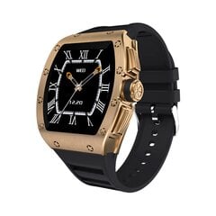 Kumi GT1 smartwatch gold цена и информация | Смарт-часы (smartwatch) | pigu.lt