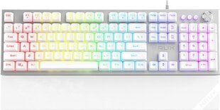 Krux Frost Silver-White RGB, серебристый/белый цена и информация | Клавиатуры | pigu.lt