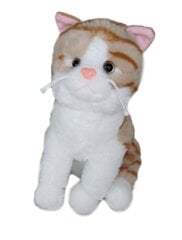 Minkštas žaislinis katinas Sun-Day 35cm, rudas (K1218) kaina ir informacija | Minkšti (pliušiniai) žaislai | pigu.lt