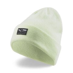 Шляпа Puma Архив вересковая шапочка, зеленый цена и информация | Мужские шарфы, шапки, перчатки | pigu.lt