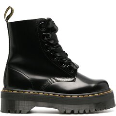 Черные мужские полусапожки DR. MARTENS цена и информация | Женские сапоги | pigu.lt