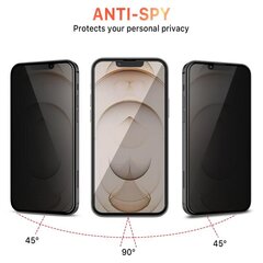 Защитное стекло Anti-Spy для экрана iPhone 14 Pro Max (6,7") цена и информация | Защитные пленки для телефонов | pigu.lt